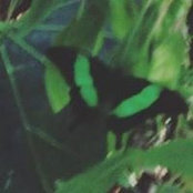 Abbey Stodghill's photo
