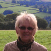 Foto von Ann Norman