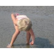 Sara McCarter's photo