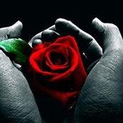 Jodie Glasen Boyd's photo
