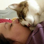 Tanya Brewer's photo