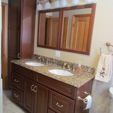 Transitional Brazilia Bathroom Remodel with Brushed Bronze Plumbing Fixtures