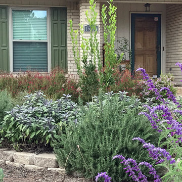 Various Xeriscapes by Team Rhinamic