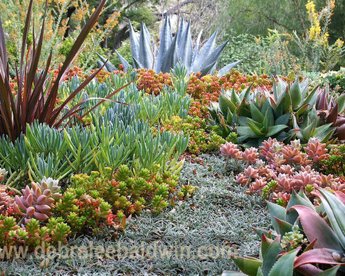 Succulent Garden Designs beautiful succulent garden design on hillside Photo Of An Eclectic Landscape In San Diego Succulent Garden Designs find this pin and more on endless succulent ideas what an amazing gardening idea Photo Of An Eclectic Landscape In San Diego