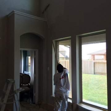 ProTect Painters: Hard to Reach Areas