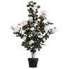 Vickerman 45" Rose Plant in Pot, White
