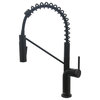 Single Handle Pull-Down Dual Mode Kitchen Faucet, Matte Black