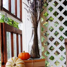 Fall