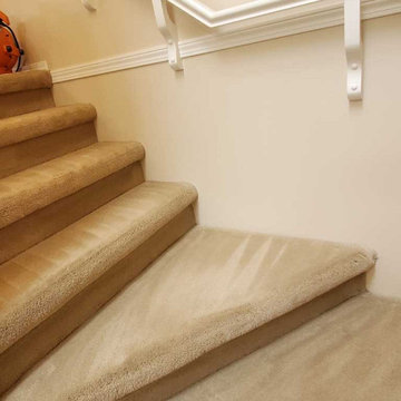 Carpet Cleaning a House Which Has Not Been Steam Cleaned for 8 Years Located in