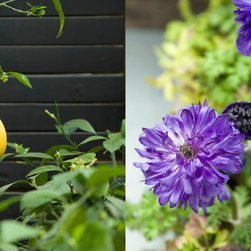 Spring at Styers - Products
