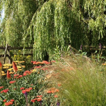A country garden in Oxfordshire
