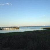 Deana Joyner's photo