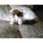 Renate Behrendt's photo