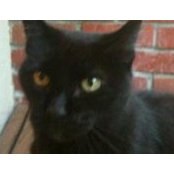 Terri Lodge's photo