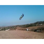 Curtis Malins's photo