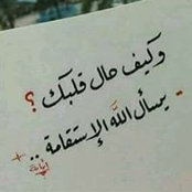 Nour Etaby's photo