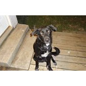 Elizabeth Smith's photo