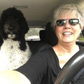 Sandy Shannon's photo