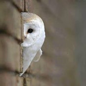 Nicolas Cheung's photo
