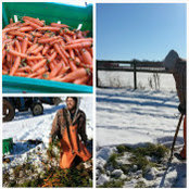 Rambling Roots Farm's photo