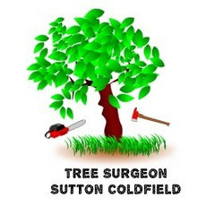 Tree Surgeon Sutton Coldfield