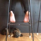 Anna Jackson's photo