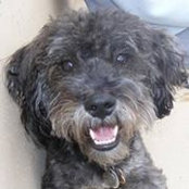 Cheryl Giese's photo