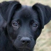 Susan Coates's photo
