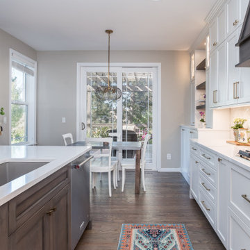 Highlands Ranch Sleek Transitional Kitchen