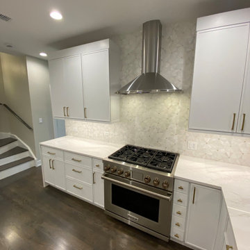 Lincoln Park Elegant full home renovation