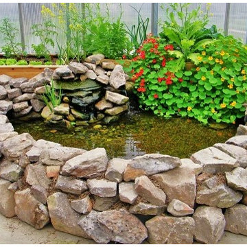 Aquaponics Ponds