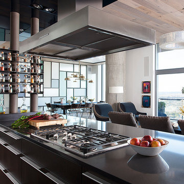 W Penthouse Kitchen with Custom Steel Glassware Shelving