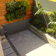 Landscape Ideas