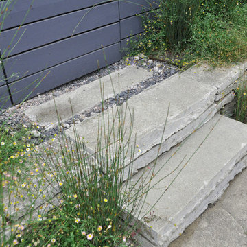 Portal