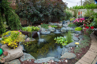 Inspiration for a landscaping in Denver.