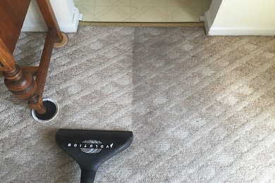 Carpet cleaning Stafford