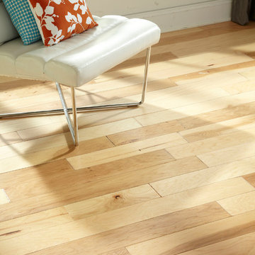 Modern, Colorful Bedroom - Tradition, Natural Hickory, Engineered Hardwood