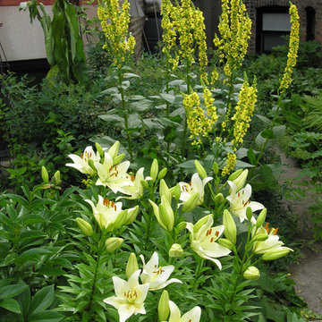 Perennial favorites | Artistry Landscaping Design