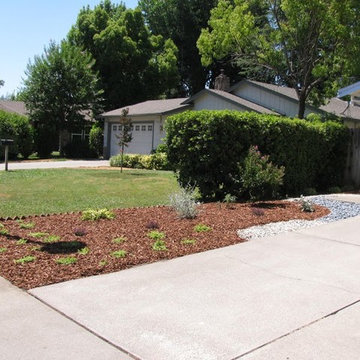 Drought Rebate Program