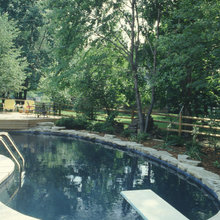 Landscape Ideas