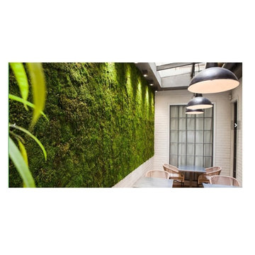 Maintenance-Free Wall Gardens
