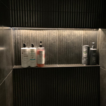 Guest Bathroom With Dark Raku Tile Shower and Lighted Shelf