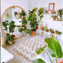 Decorating