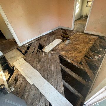 Termite Damage Is at it Again