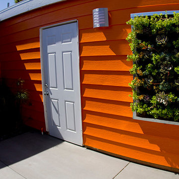 Vertical Garden