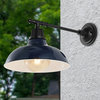 Wallace 12.25" 1-Light Indoor/Outdoor Iron LED Victorian Arm Sconce, Navy/Black