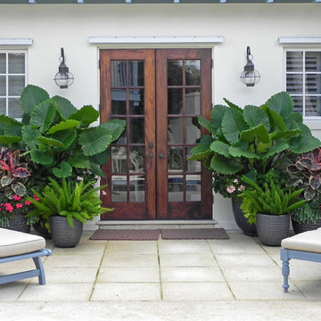 container gardens