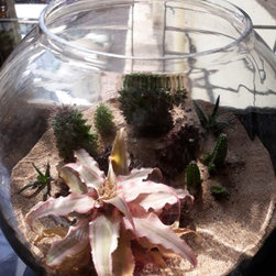 Project No.- 123 - Terrariums
