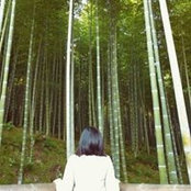 Xu Chongs foto
