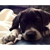 Jonathan Doerr's photo